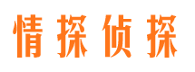 靖边外遇出轨调查取证